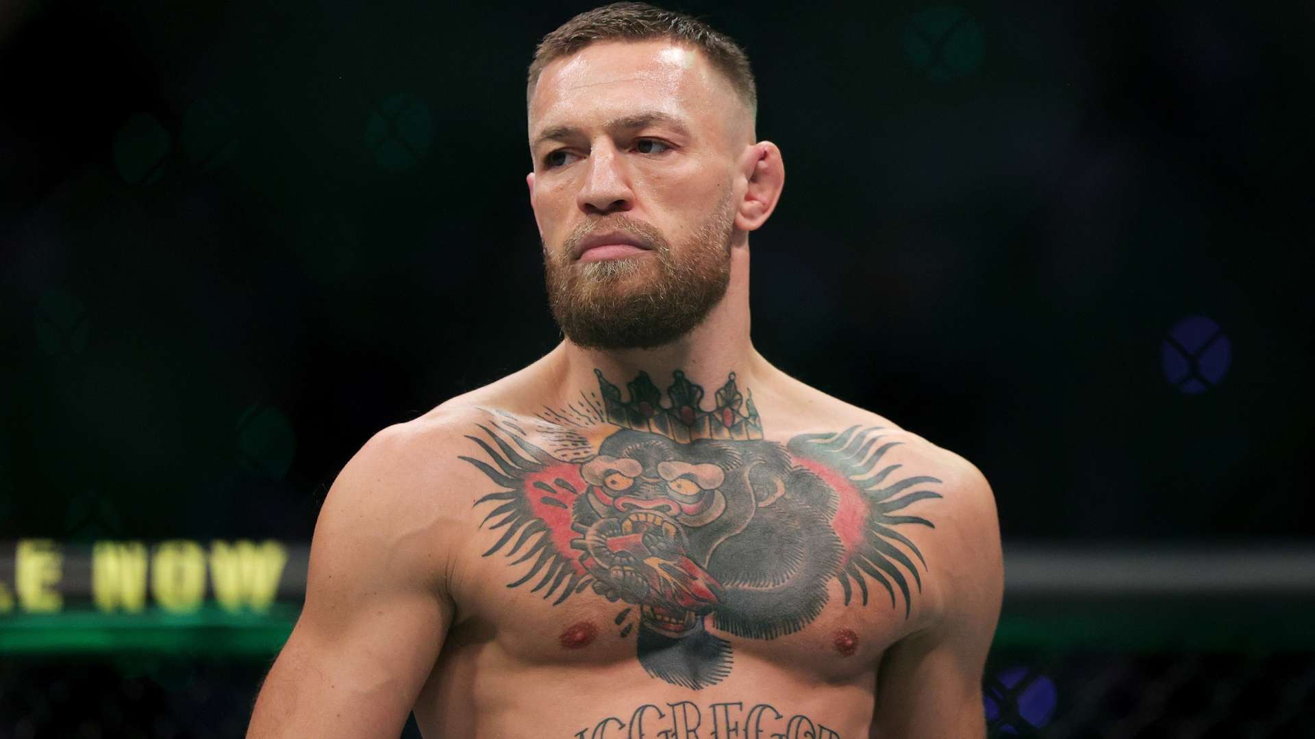 山东泰山历史性晋级亚冠淘汰赛回顾历届战绩展望未来征程